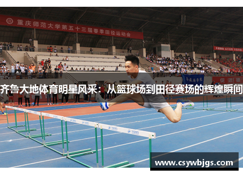 齐鲁大地体育明星风采：从篮球场到田径赛场的辉煌瞬间